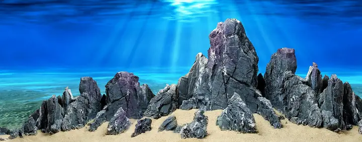 Tranh Hồ Cá Rồng