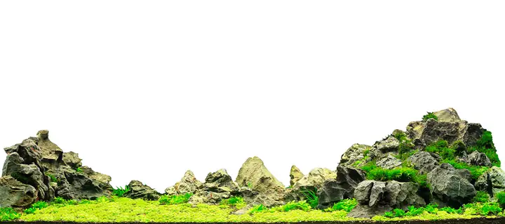 Cho Bối