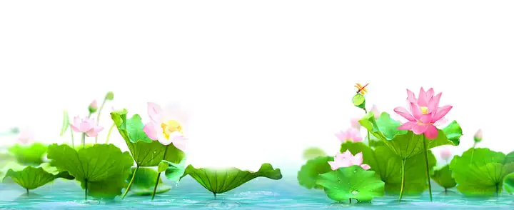 Cho Bối