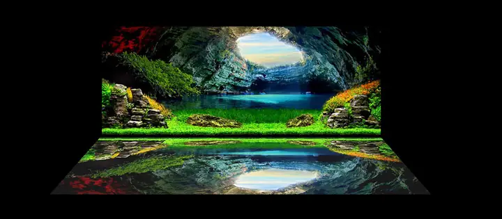 Mẫu Tranh Bộ Lưng Và Đáy