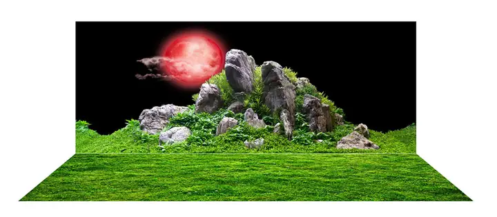 Mẫu Tranh Bộ Lưng Và Đáy