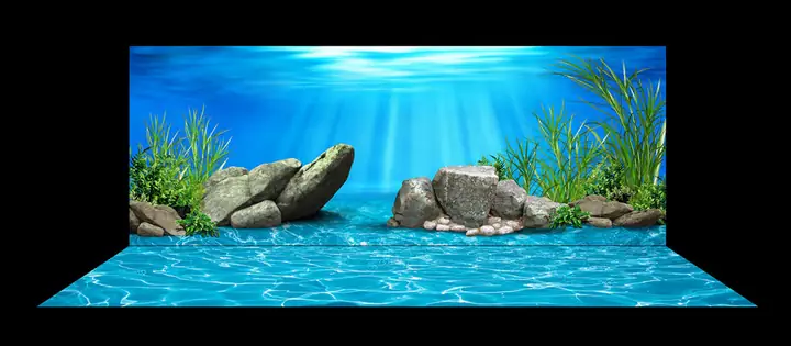 Mẫu Tranh Bộ Lưng Và Đáy