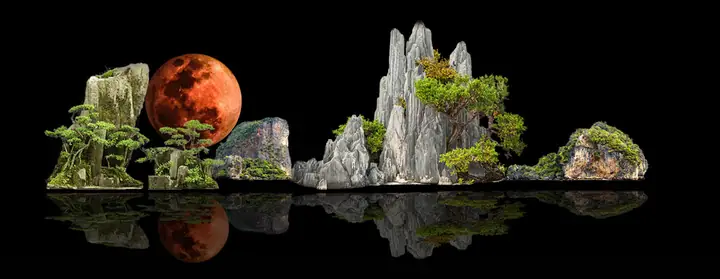 Tranh 3d Cho Cá Rồng Huyết Long