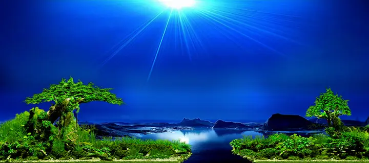Tranh Hồ Cá Rồng