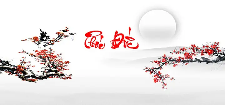 Cho Bối