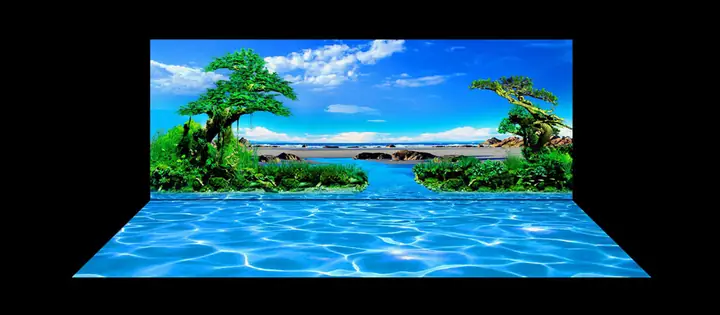 Mẫu Tranh Bộ Lưng Và Đáy