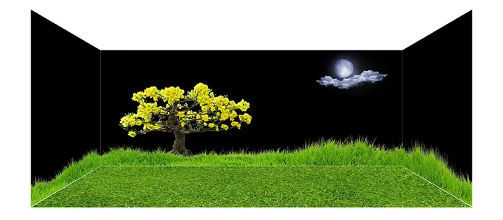Mẫu Tranh Bộ Lưng Và Đáy