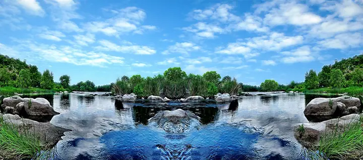 Tranh Hồ Cá Rồng
