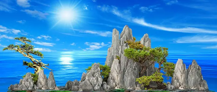 Tranh Hồ Cá Rồng