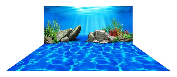 Mẫu Tranh Bộ Lưng Và Đáy
