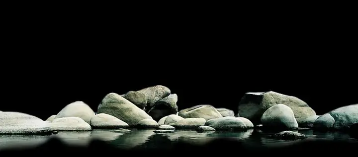Tranh 3d Cho Cá Rồng Huyết Long