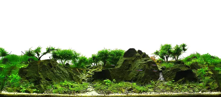 Cho Bối