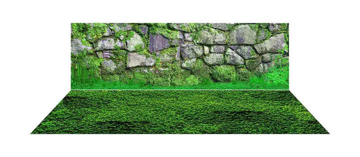 Mẫu Tranh Bộ Lưng Và Đáy