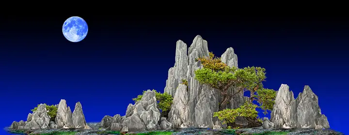 Tranh Hồ Cá Rồng