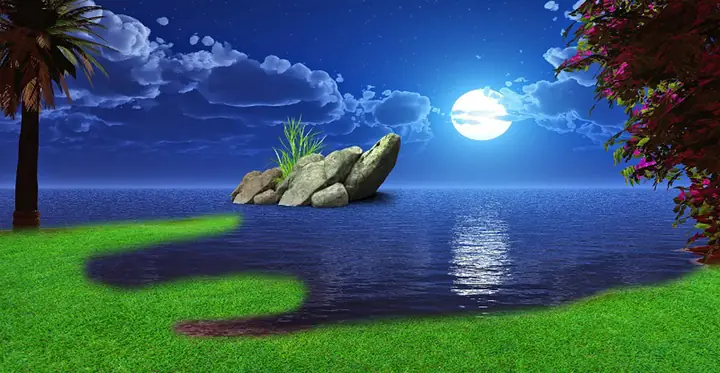 Tranh Hồ Cá Rồng
