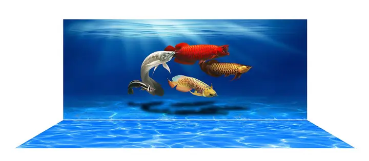 Mẫu Tranh Bộ Lưng Và Đáy