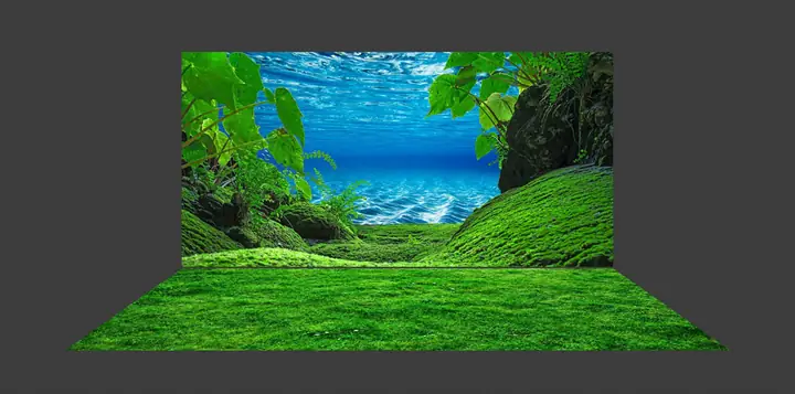 Mẫu Tranh Bộ Lưng Và Đáy