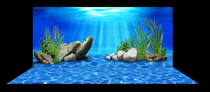 Mẫu Tranh Bộ Lưng Và Đáy