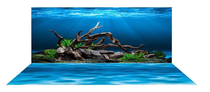Mẫu Tranh Bộ Lưng Và Đáy