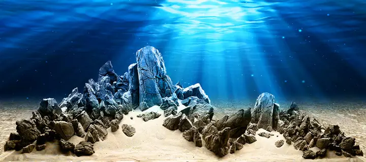 Tranh Hồ Cá Rồng