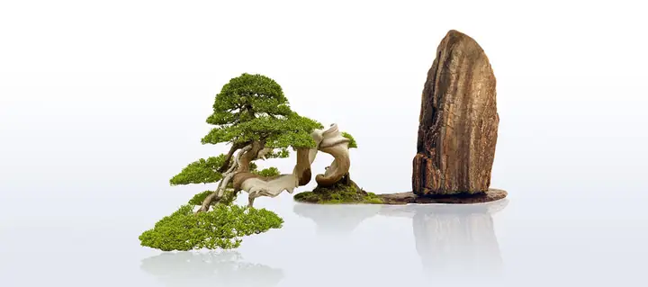 Cho Bối