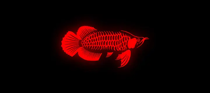 Tranh 3d Cho Cá Rồng Huyết Long