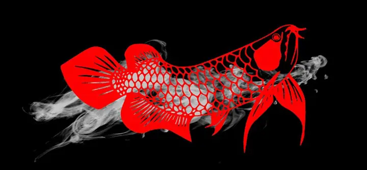 Tranh 3d Cho Cá Rồng Huyết Long