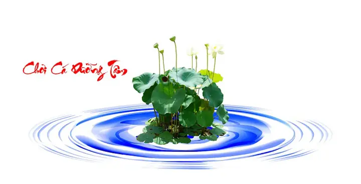 Cho Bối