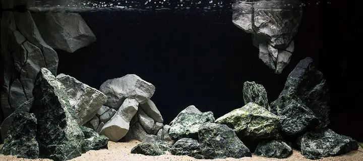 Tranh 3d Cho Cá Rồng Huyết Long