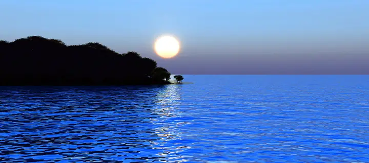 Tranh Hồ Cá Rồng