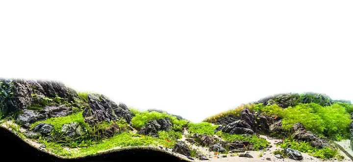 Cho Bối