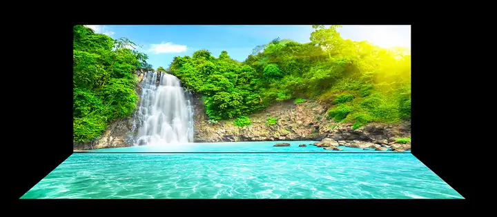 Mẫu Tranh Bộ Lưng Và Đáy
