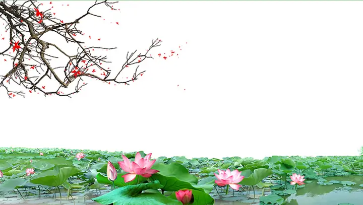 Cho Bối