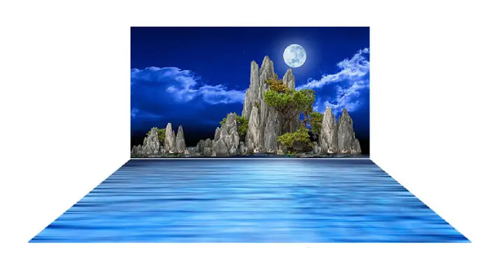 Mẫu Tranh Bộ Lưng Và Đáy