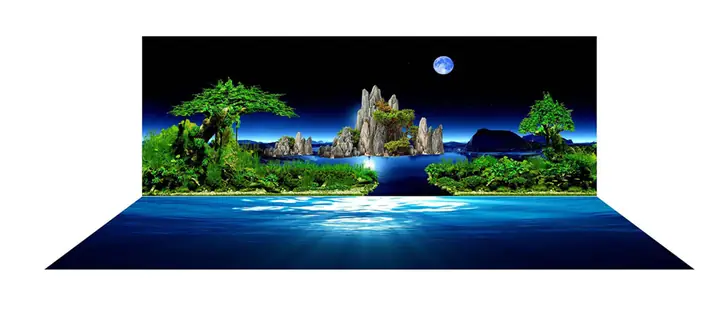 Mẫu Tranh Bộ Lưng Và Đáy