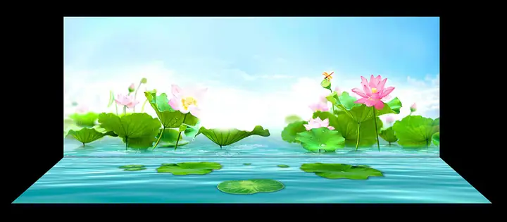 Mẫu Tranh Bộ Lưng Và Đáy