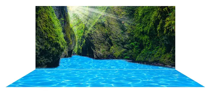 Mẫu Tranh Bộ Lưng Và Đáy