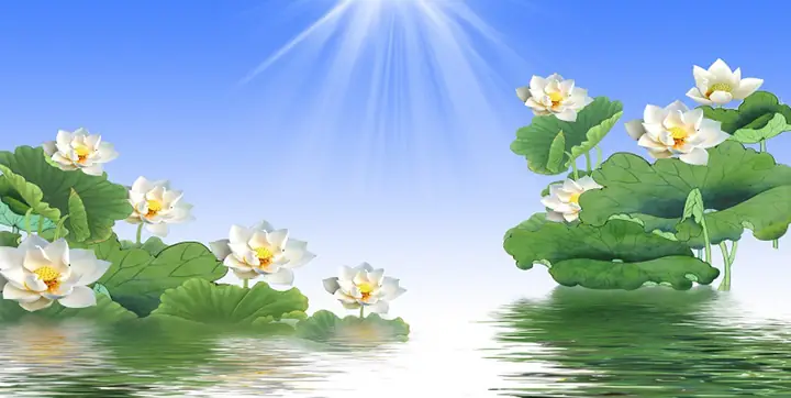 Tranh Hồ Cá Rồng