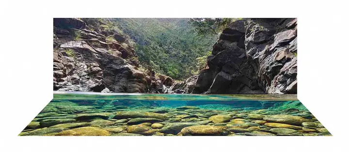 Mẫu Tranh Bộ Lưng Và Đáy