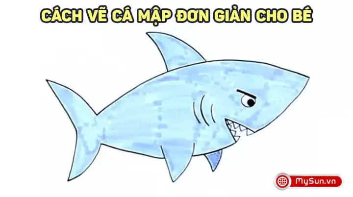 Cách Vẽ Cá Mập Dễ Thương: Cẩm Nang Từ A-z Cho Người Mới Bắt Đầu