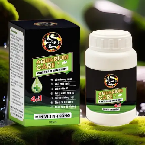Biện Pháp Phòng Ngừa Tác Dụng Phụ Khi Sử Dụng Thuốc Trị Nấm Trắng