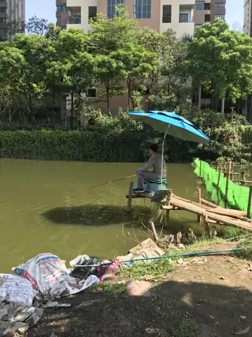 Trời Lạnh Cá Tra Ăn Mồi Gì