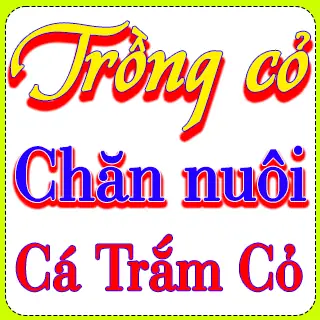 Trồng Cỏ Nuôi Cá Trắm Cỏ Loại Nào Tốt Nhất