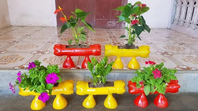 Trồng Sen Mini Trong Chậu Nuôi Cá