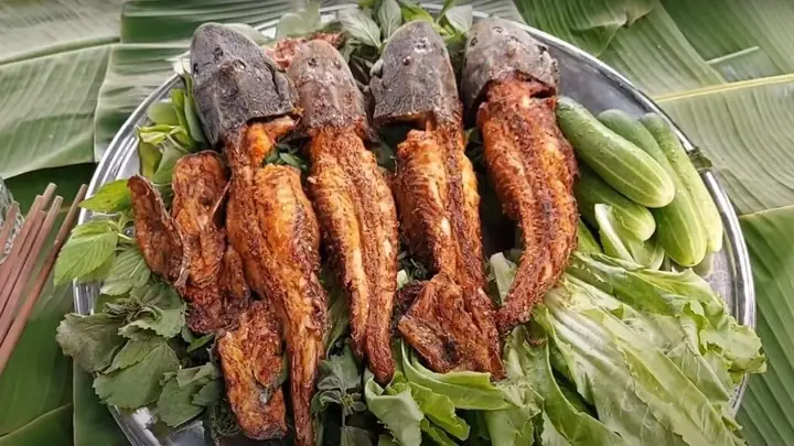 Một Vài Thông Tin Về Cá Lau Kiếng
