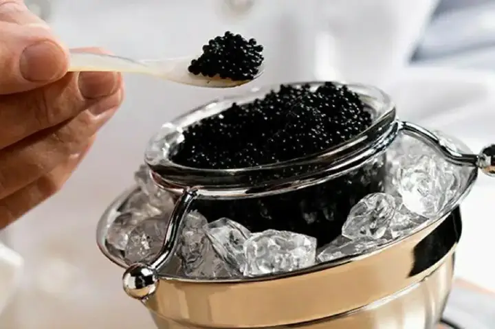 Trứng Cá Đen Muối Caviar – Lọ 100g