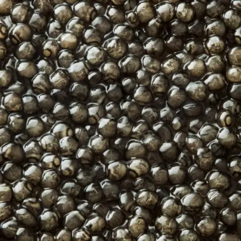Trứng Cá Tầm Beluga Kaviari (50g)