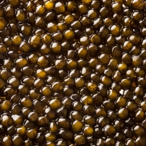 Trứng Cá Tầm Caviar Kristal Kaviari (50g)