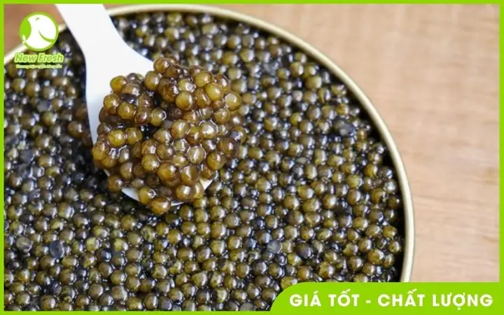Trứng Cá Tầm Nga