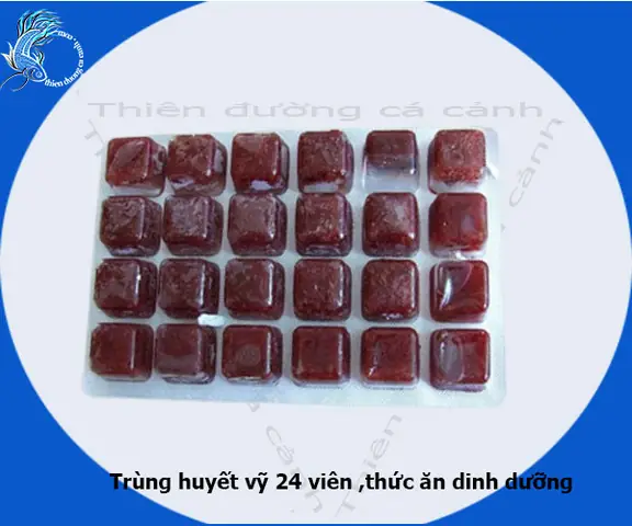 Trùng Huyết Cho Cá: Hướng Dẫn Toàn Diện Từ A Đến Z